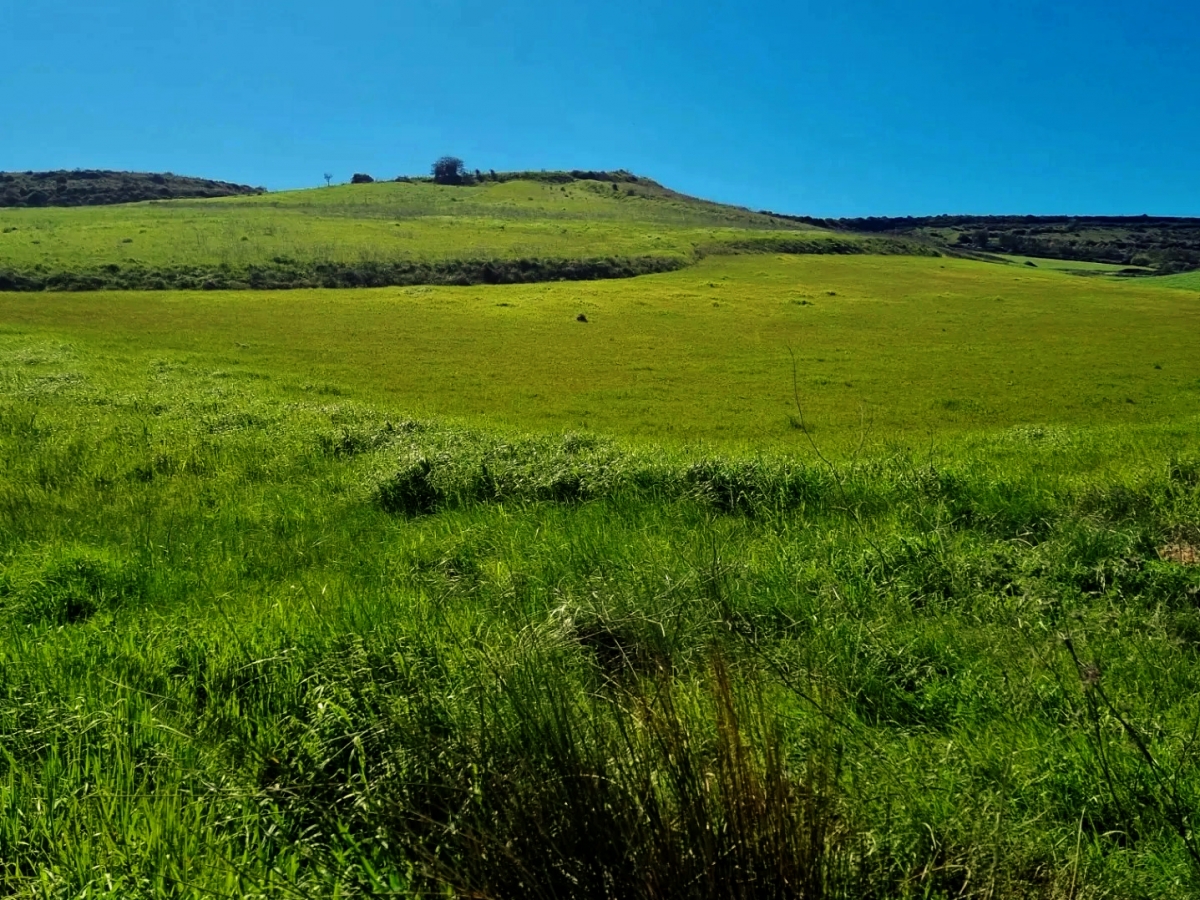 Verdi colline...e Buona Pasqua