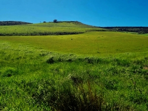 Verdi colline...e Buona Pasqua