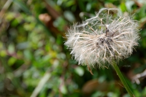 macro....