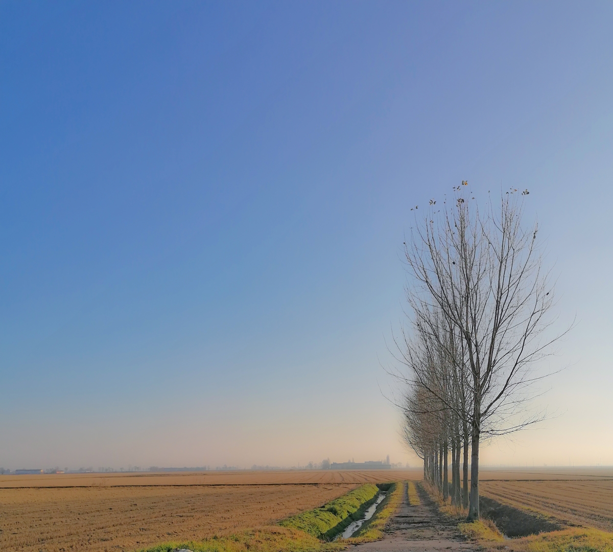 campagna novarese 