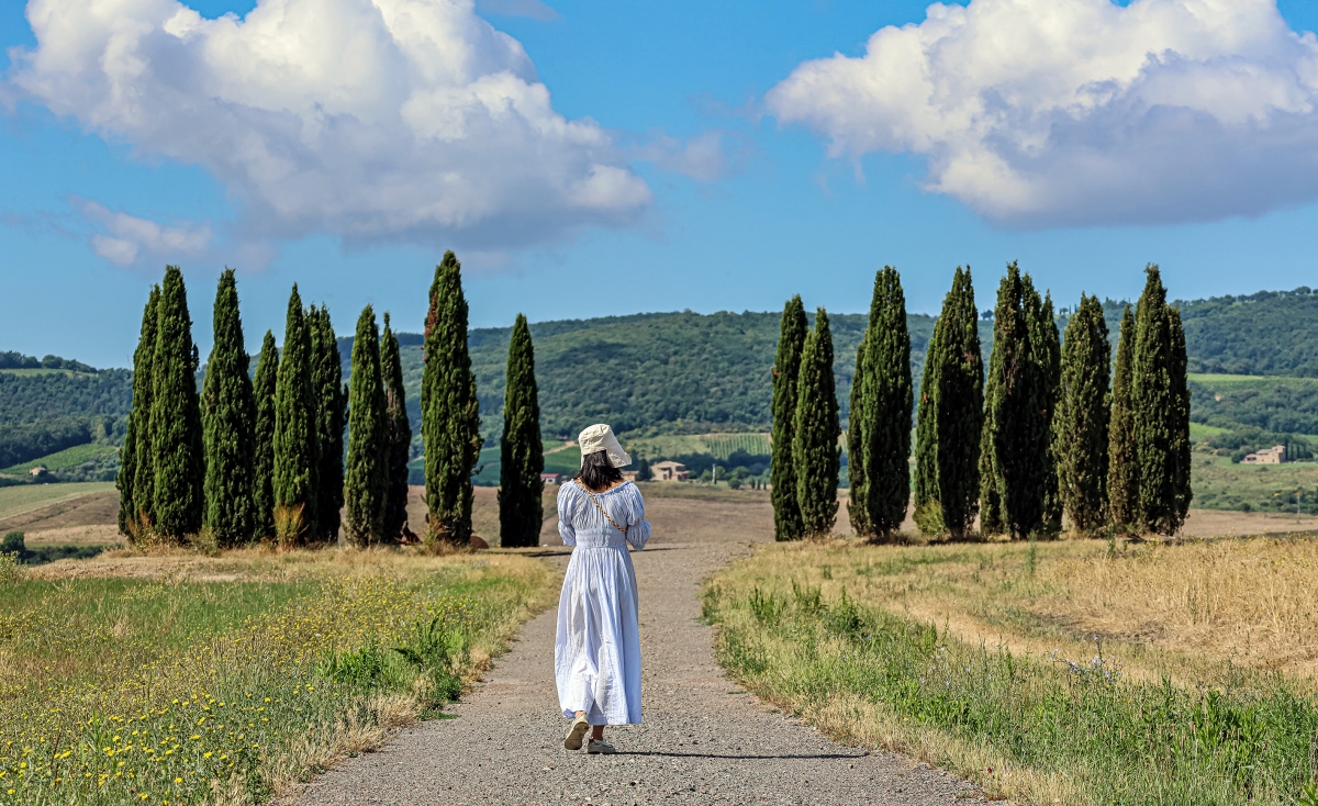 viaggio in Toscana - cipressi della Val d'Orcia viaggio in Toscana - cipressi della Val d'Orcia